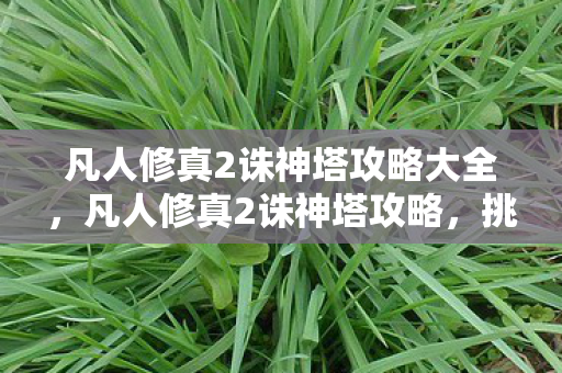 凡人修真2诛神塔攻略大全,凡人修真2诛神塔攻略,挑战极限,成就非凡 凡人修真2诛神塔攻略大全,凡人修真2诛神塔攻略,挑战极限,成就非凡