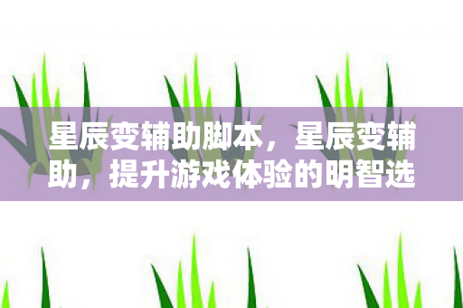 星辰变辅助脚本，星辰变辅助，提升游戏体验的明智选择