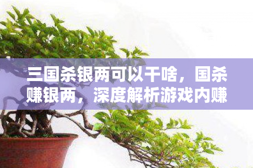 三国杀银两可以干啥,国杀赚银两,深度解析游戏内赚银两的策略与技巧 三国杀银两可以干啥,国杀赚银两,深度解析游戏内赚银两的策略与技巧