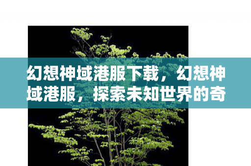 幻想神域港服下载，幻想神域港服，探索未知世界的奇妙之旅