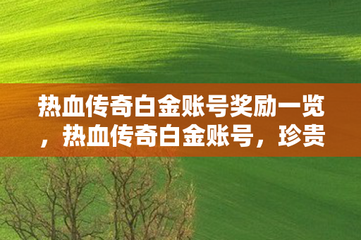 热血传奇白金账号奖励一览,热血传奇白金账号,珍贵回忆与独特体验 热血传奇白金账号奖励一览,热血传奇白金账号,珍贵回忆与独特体验