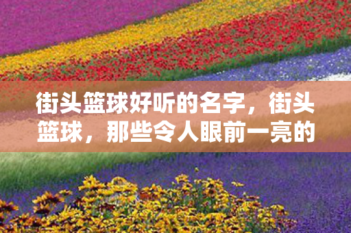 街头篮球好听的名字,街头篮球,那些令人眼前一亮的名字 街头篮球好听的名字,街头篮球,那些令人眼前一亮的名字