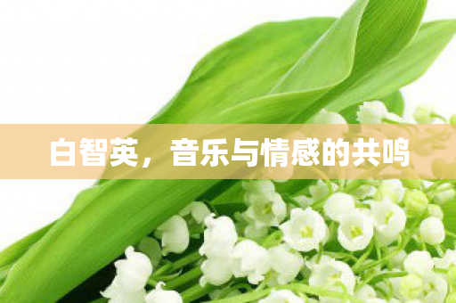 白智英，音乐与情感的共鸣