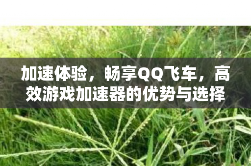 加速体验,畅享QQ飞车,高效游戏加速器的优势与选择指南 加速体验,畅享QQ飞车,高效游戏加速器的优势与选择指南