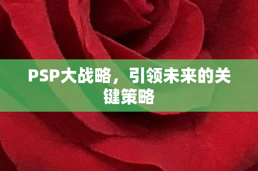 PSP大战略，引领未来的关键策略