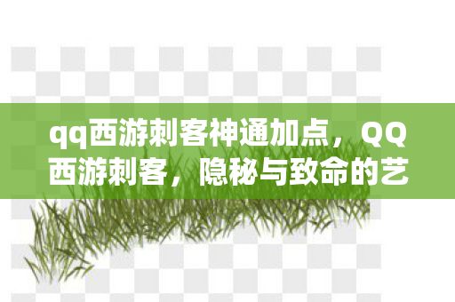 qq西游刺客神通加点,QQ西游刺客,隐秘与致命的艺术 qq西游刺客神通加点,QQ西游刺客,隐秘与致命的艺术