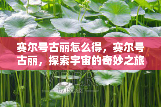 赛尔号古丽怎么得，赛尔号古丽，探索宇宙的奇妙之旅