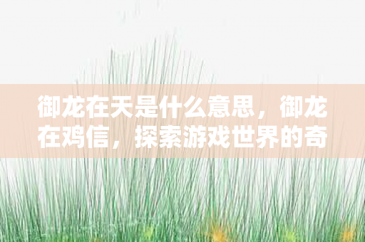 御龙在天是什么意思,御龙在鸡信,探索游戏世界的奇妙之旅 御龙在天是什么意思,御龙在鸡信,探索游戏世界的奇妙之旅