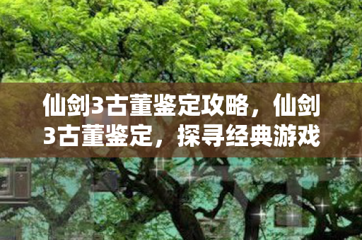 仙剑3古董鉴定攻略,仙剑3古董鉴定,探寻经典游戏中的文化瑰宝 仙剑3古董鉴定攻略,仙剑3古董鉴定,探寻经典游戏中的文化瑰宝