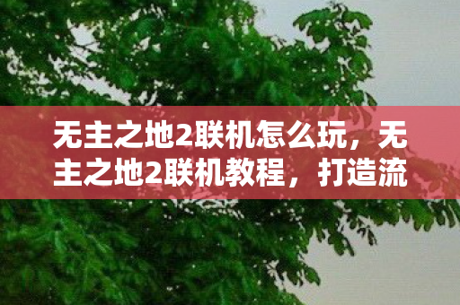无主之地2联机怎么玩，无主之地2联机教程，打造流畅游戏体验