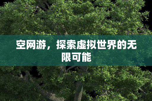 空网游,探索虚拟世界的无限可能 空网游,探索虚拟世界的无限可能