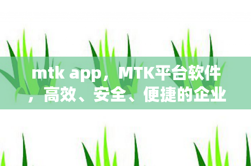 mtk app，MTK平台软件，高效、安全、便捷的企业级解决方案