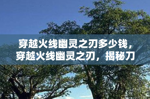 穿越火线幽灵之刃多少钱,穿越火线幽灵之刃,揭秘刀锋战士的传奇之路 穿越火线幽灵之刃多少钱,穿越火线幽灵之刃,揭秘刀锋战士的传奇之路