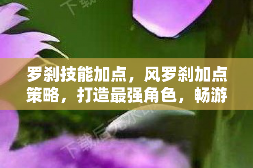 罗刹技能加点,风罗刹加点策略,打造最强角色,畅游奇幻世界 罗刹技能加点,风罗刹加点策略,打造最强角色,畅游奇幻世界