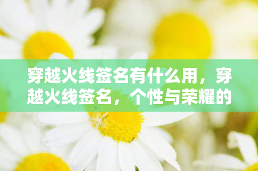 穿越火线签名有什么用，穿越火线签名，个性与荣耀的展现