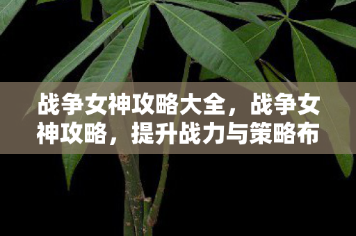 战争女神攻略大全,战争女神攻略,提升战力与策略布局的全面指南 战争女神攻略大全,战争女神攻略,提升战力与策略布局的全面指南