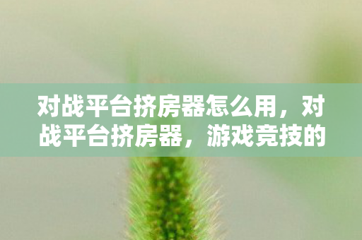 对战平台挤房器怎么用,对战平台挤房器,游戏竞技的灰色阴影 对战平台挤房器怎么用,对战平台挤房器,游戏竞技的灰色阴影