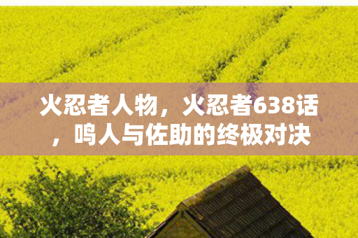 火忍者人物,火忍者638话,鸣人与佐助的终极对决 火忍者人物,火忍者638话,鸣人与佐助的终极对决