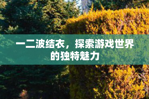 一二波结衣,探索游戏世界的独特魅力 一二波结衣,探索游戏世界的独特魅力