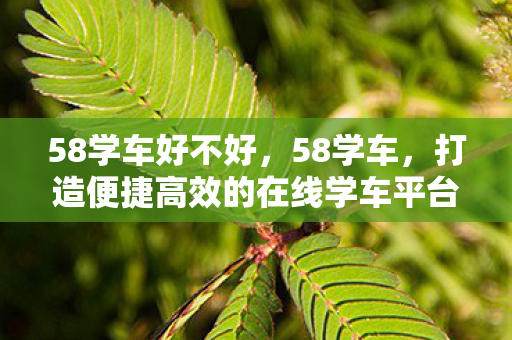 58学车好不好，58学车，打造便捷高效的在线学车平台