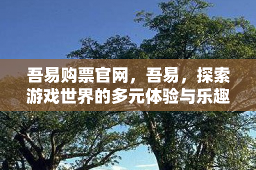 吾易购票官网，吾易，探索游戏世界的多元体验与乐趣