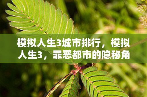 模拟人生3城市排行,模拟人生3,罪恶都市的隐秘角落 模拟人生3城市排行,模拟人生3,罪恶都市的隐秘角落