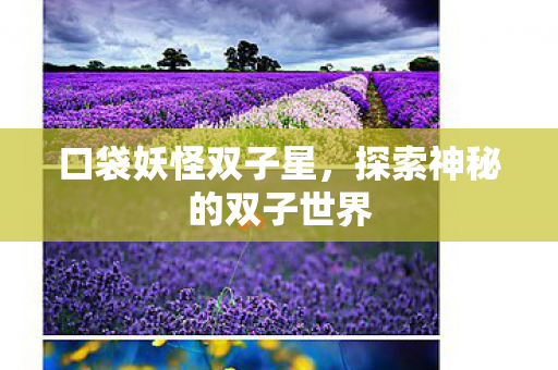 口袋妖怪双子星,探索神秘的双子世界 口袋妖怪双子星,探索神秘的双子世界