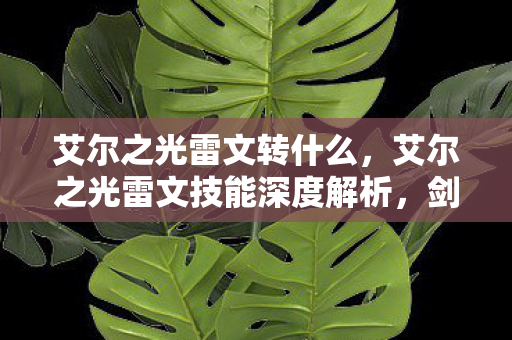 艾尔之光雷文转什么，艾尔之光雷文技能深度解析，剑影之舞，雷霆之怒