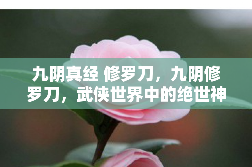 九阴真经 修罗刀,九阴修罗刀,武侠世界中的绝世神兵 九阴真经 修罗刀,九阴修罗刀,武侠世界中的绝世神兵