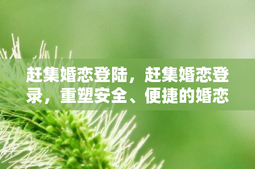 便捷的婚恋交友新体验图片