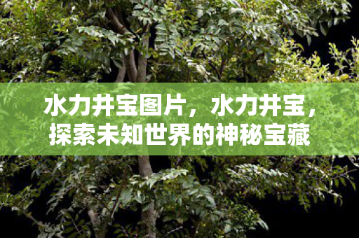 水力井宝图片，水力井宝，探索未知世界的神秘宝藏