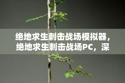 绝地求生刺击战场模拟器,绝地求生刺击战场PC,深度解析游戏优化与竞技策略 绝地求生刺击战场模拟器,绝地求生刺击战场PC,深度解析游戏优化与竞技策略