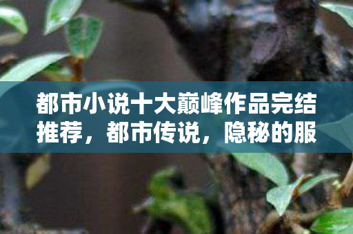 都市小说十大巅峰作品完结推荐，都市传说，隐秘的服务器