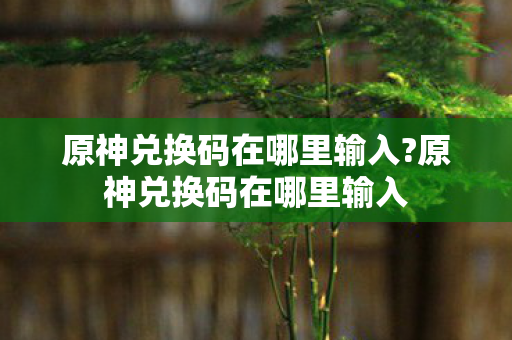 原神兑换码在哪里输入?原神兑换码在哪里输入 原神兑换码在哪里输入?原神兑换码在哪里输入
