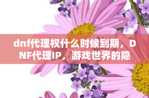 dnf代理权什么时候到期,DNF代理IP,游戏世界的隐形桥梁 dnf代理权什么时候到期,DNF代理IP,游戏世界的隐形桥梁