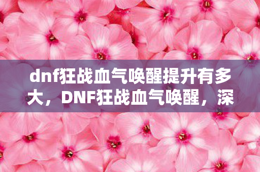 dnf狂战血气唤醒提升有多大,DNF狂战血气唤醒,深度解析与实战应用 dnf狂战血气唤醒提升有多大,DNF狂战血气唤醒,深度解析与实战应用