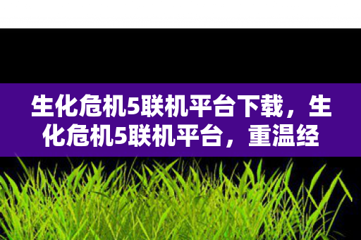 生化危机5联机平台下载,生化危机5联机平台,重温经典,与友共战 生化危机5联机平台下载,生化危机5联机平台,重温经典,与友共战