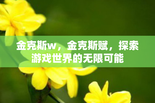 金克斯w,金克斯赋,探索游戏世界的无限可能 金克斯w,金克斯赋,探索游戏世界的无限可能