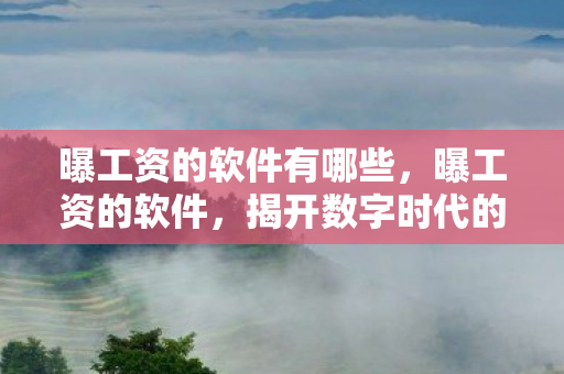 曝工资的软件有哪些,曝工资的软件,揭开数字时代的薪酬秘密 曝工资的软件有哪些,曝工资的软件,揭开数字时代的薪酬秘密