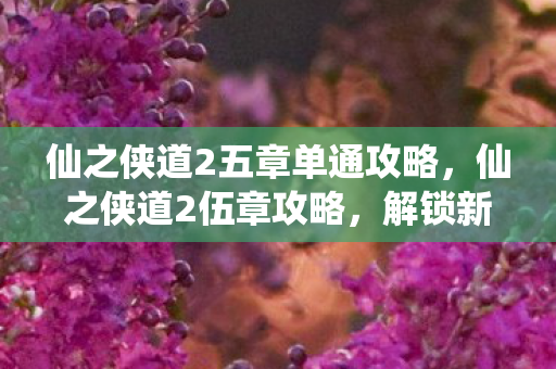 仙之侠道2五章单通攻略,仙之侠道2伍章攻略,解锁新境界,挑战更高难度 仙之侠道2五章单通攻略,仙之侠道2伍章攻略,解锁新境界,挑战更高难度