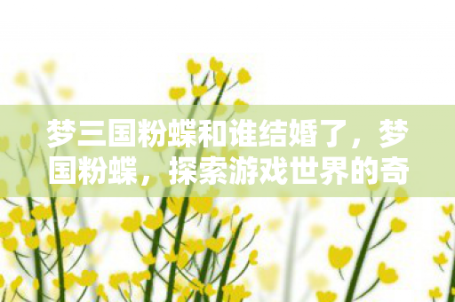 梦三国粉蝶和谁结婚了,梦国粉蝶,探索游戏世界的奇幻之旅 梦三国粉蝶和谁结婚了,梦国粉蝶,探索游戏世界的奇幻之旅