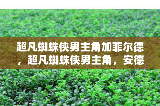超凡蜘蛛侠男主角加菲尔德,超凡蜘蛛侠男主角,安德鲁·加菲尔德的蜕变之路 超凡蜘蛛侠男主角加菲尔德,超凡蜘蛛侠男主角,安德鲁·加菲尔德的蜕变之路