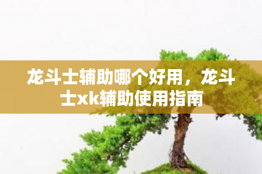 龙斗士辅助哪个好用,龙斗士xk辅助使用指南 龙斗士辅助哪个好用,龙斗士xk辅助使用指南