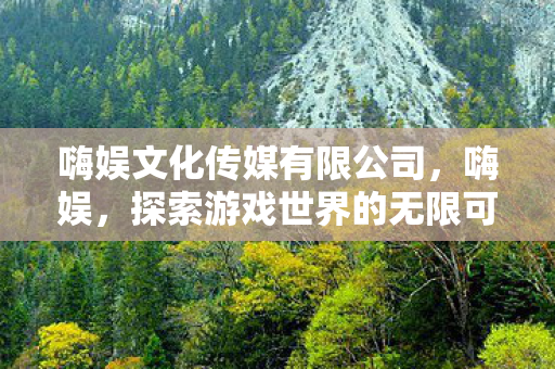 嗨娱文化传媒有限公司，嗨娱，探索游戏世界的无限可能