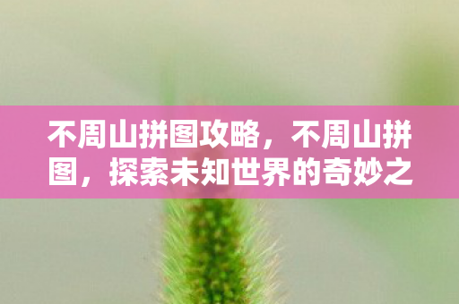 不周山拼图攻略，不周山拼图，探索未知世界的奇妙之旅
