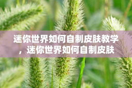 迷你世界如何自制皮肤教学,迷你世界如何自制皮肤 迷你世界如何自制皮肤教学,迷你世界如何自制皮肤