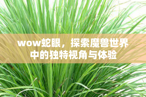 wow蛇眼,探索魔兽世界中的独特视角与体验 wow蛇眼,探索魔兽世界中的独特视角与体验