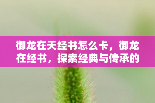 御龙在天经书怎么卡，御龙在经书，探索经典与传承的奥秘