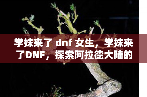 学妹来了 dnf 女生，学妹来了DNF，探索阿拉德大陆的奇妙之旅