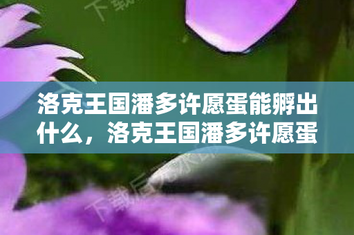 洛克王国潘多许愿蛋能孵出什么,洛克王国潘多许愿蛋,探索神秘许愿之旅 洛克王国潘多许愿蛋能孵出什么,洛克王国潘多许愿蛋,探索神秘许愿之旅
